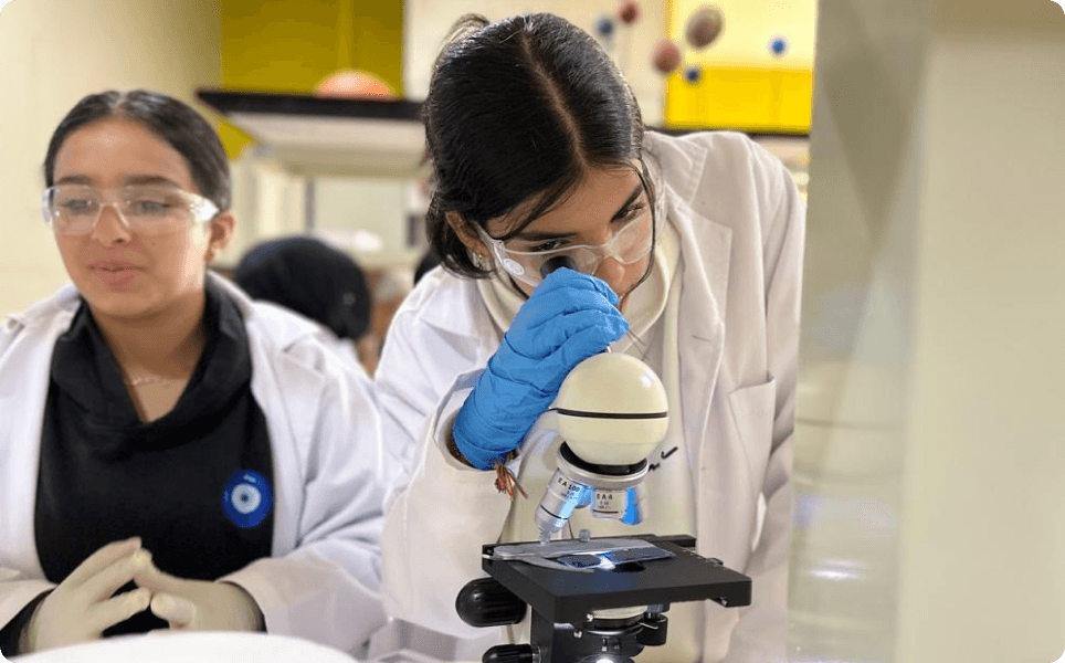 STEM and Innovation