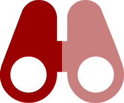 Vision Icon