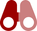 Vision Icon