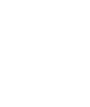 icon-0