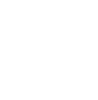 icon-1